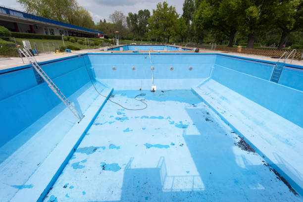Best Basement water damage restoration  in Scotts Hill, TN