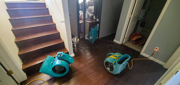 Best Emergency water damage restoration  in Scotts Hill, TN