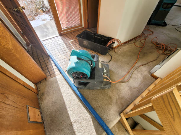 Best Commercial water damage restoration  in Scotts Hill, TN