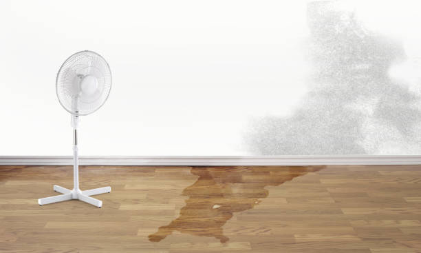 Best 24/7 water damage repair  in Scotts Hill, TN