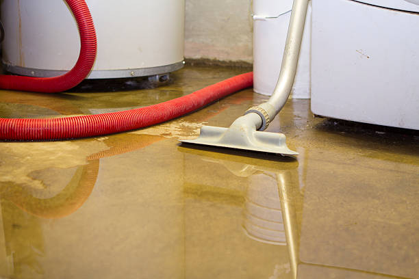 Local water damage restoration in TN