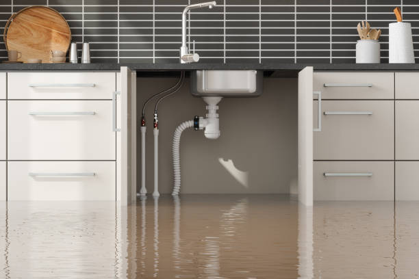 Best 24-hour water damage restoration  in Scotts Hill, TN