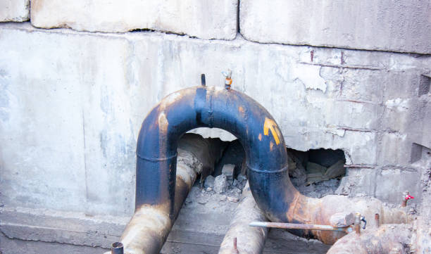 Best Flooded house restoration  in Scotts Hill, TN
