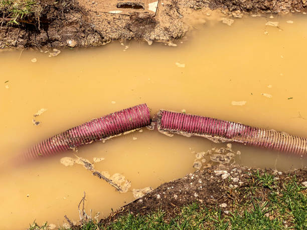 Best Water damage restoration near me  in Scotts Hill, TN