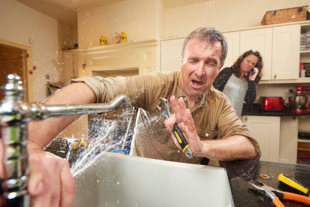 Best Professional water damage repair  in Scotts Hill, TN
